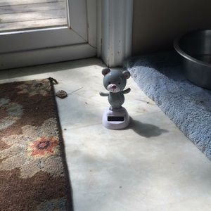 I’m selling a soular poward bear